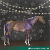 Horse Color:Silver Buckskin Dun Tobiano