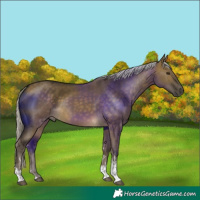 Horse Color:Silver Buckskin Dun Tobiano