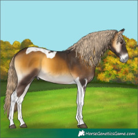 Horse Color:Chocolate Palomino Onyx Tobiano 