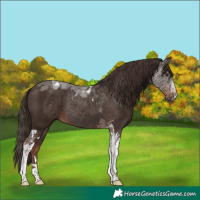 Horse Color:Liver Chestnut Tobiano 