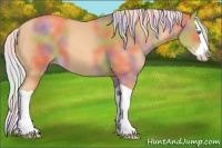 Horse Color:Nacre Silver Sable Cream Champagne Splash 