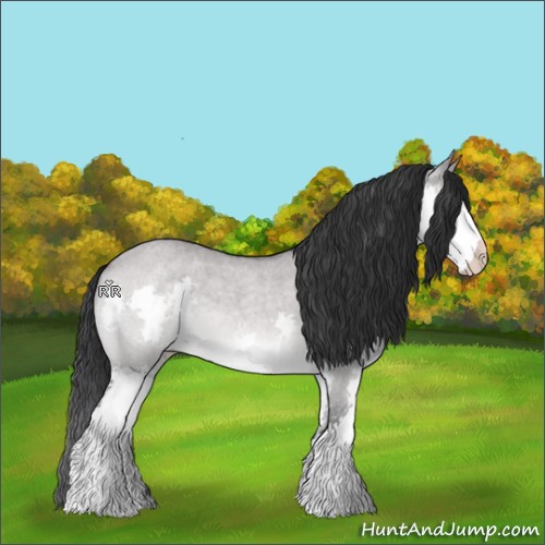 Horse Color:Platinum Brown Roan Dun Splash