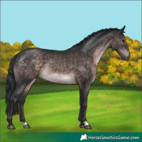 Horse Color:Platinum Brown 