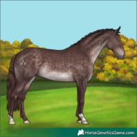 Horse Color:Platinum Chocolate Brown 