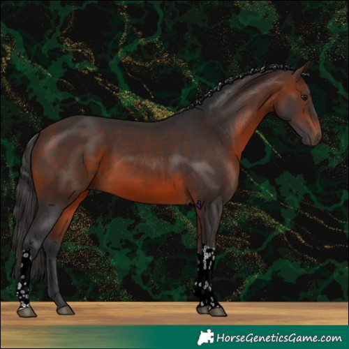 Horse Color:Brown Tobiano 