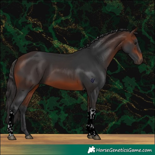 Horse Color:Brown Tobiano 