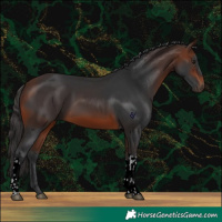 Horse Color:Brown Tobiano 