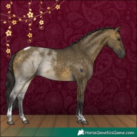 Horse Color:Buckskin Dun Tobiano 