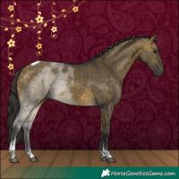 Horse Color:Buckskin Dun Tobiano 