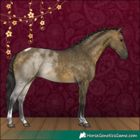 Horse Color:Buckskin Dun Tobiano