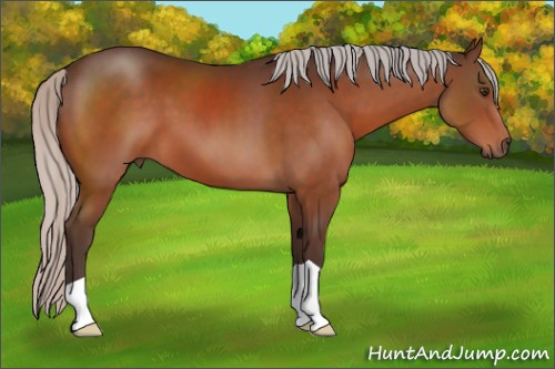 Horse Color:Silver Brown 