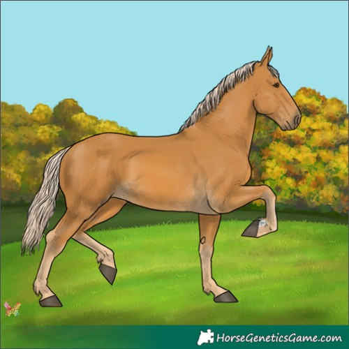 Horse Color:Palomino
