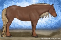 Horse Color:Red Roan