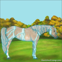 Horse Color:Thunderstruck Chocolate Palomino Dun Tobiano 