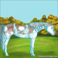 Horse Color:Thunderstruck Silver Black Splash 