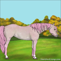Horse Color:Watercolor Bay Dun 