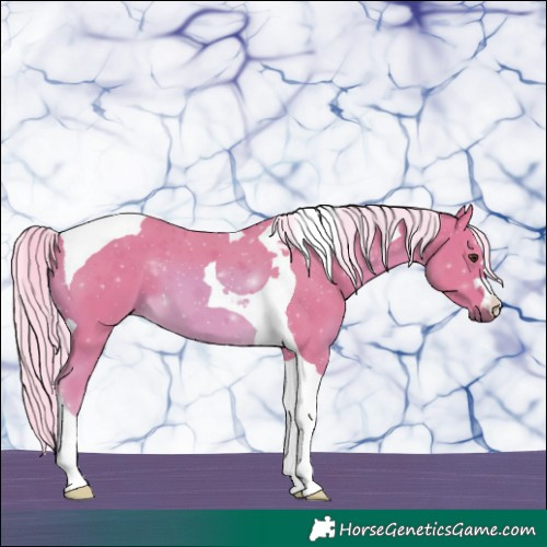 Horse Color:Watercolor Palomino Tobiano 