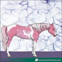 Horse Color:Watercolor Palomino Tobiano 