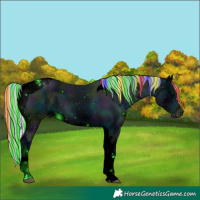 Horse Color:Painted Nacre Silver Grullo Onyx Tobiano 