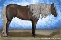 Horse Color:Silver Brown Frame 