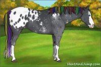 Horse Color:Painted Black Sabino Splash Appaloosa