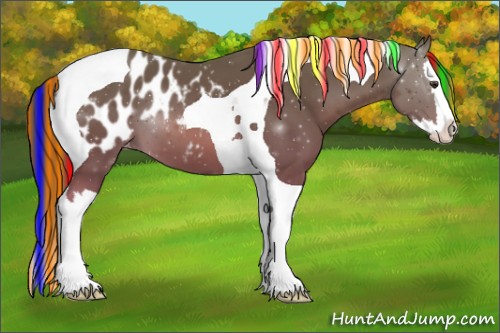 Horse Color:Painted Chestnut Sabino Splash Tobiano Blanket