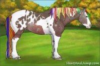 Horse Color:Painted Chestnut Sabino Splash Tobiano Appaloosa 