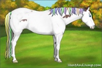 Horse Color:Painted Grullo Sabino Splash Tobiano Appaloosa 