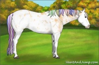 Horse Color:Painted Buckskin Sabino Splash Blanket 