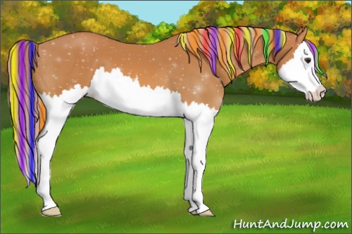 Horse Color:Painted Palomino Sabino Splash Appaloosa