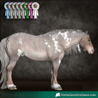 Horse Color:White Spotted Liver Red Roan Mushroom Appaloosa Rabicano 