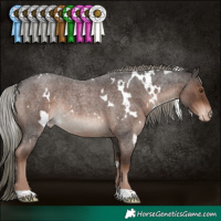 Horse Color:White Spotted Liver Red Roan Mushroom Blanket Rabicano 