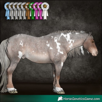 Horse Color:White Spotted Liver Red Roan Mushroom Appaloosa Rabicano 
