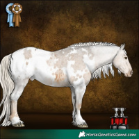 Horse Color:White Spotted Chocolate Palomino Mushroom Appaloosa Rabicano