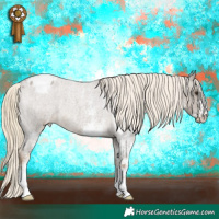 Horse Color:Chocolate Palomino Roan Sabino Appaloosa Rabicano 
