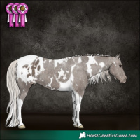 Horse Color:White Spotted Silver Black Tobiano Appaloosa 
