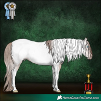 Horse Color:Gray Gold Champagne Ice Tobiano Appaloosa