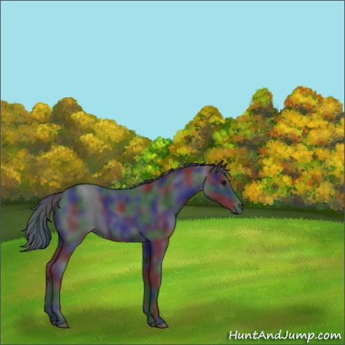 Horse Color:Nacre Black 