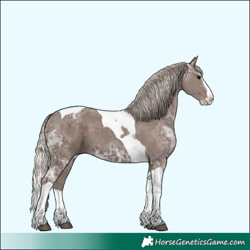 Horse Color:Silver Black Ice Sabino Splash Tobiano 