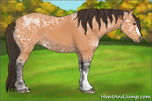 Horse Color:Buckskin Ice
