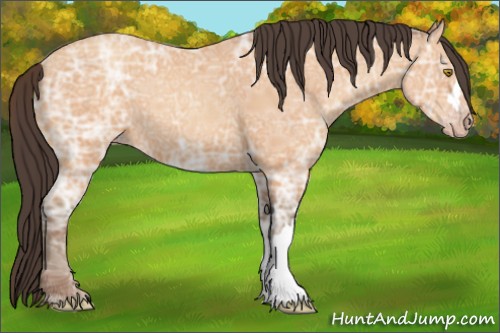 Horse Color:Amber Champagne Ice