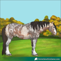 Horse Color:Buckskin Ice Roan  and Brown Ice 