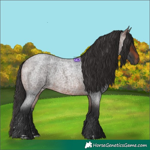 Horse Color:Brown Roan