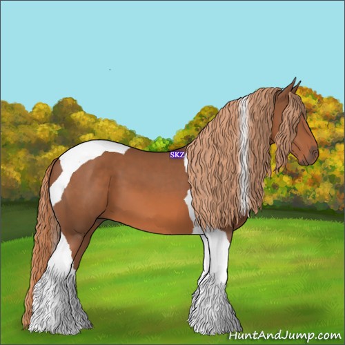 Horse Color:Chestnut Tobiano 