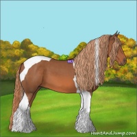 Horse Color:Chestnut Tobiano
