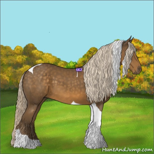 Horse Color:Chocolate Palomino Tobiano