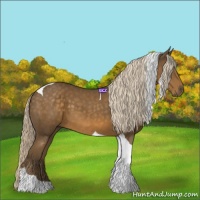 Horse Color:Chocolate Palomino Tobiano 