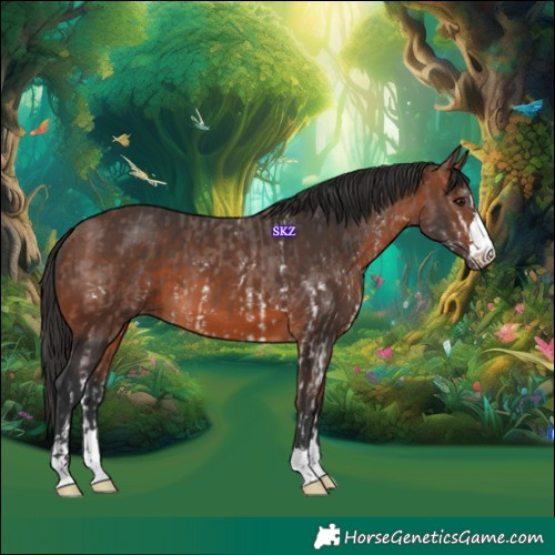 Horse Color:Bay Sabino  and Brown 