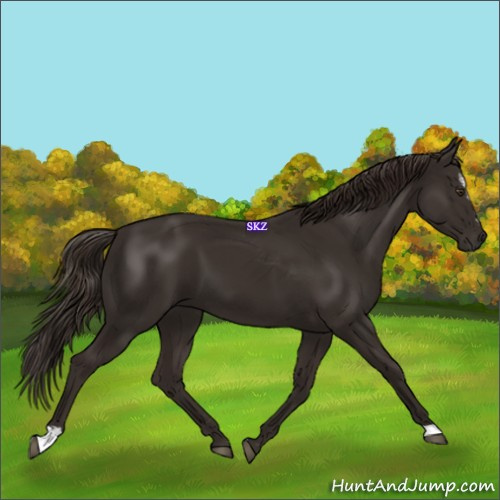 Horse Color:Liver Chestnut Sabino