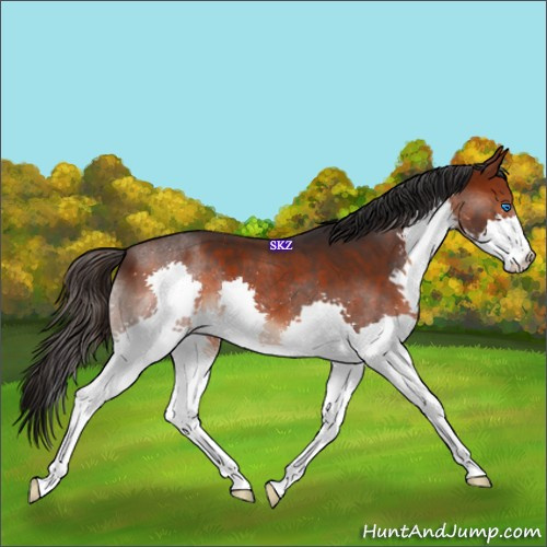 Horse Color:Brown Splash 